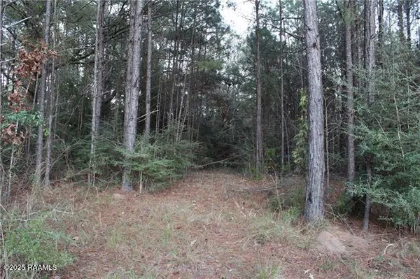 $129,000 | 0 East River Road, Glenmora, LA 71433