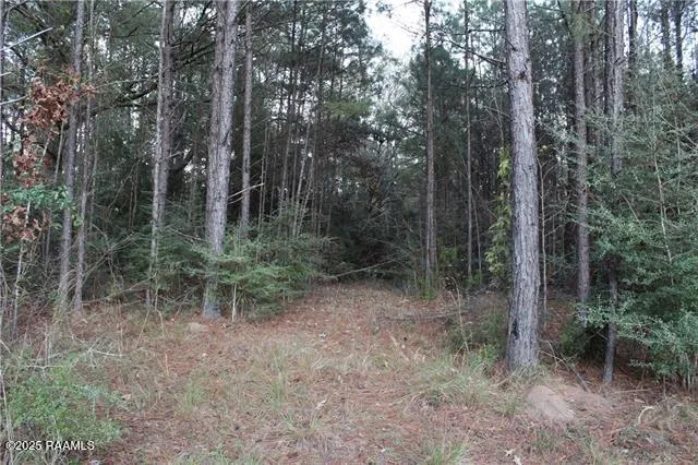 $129,000 | 0 East River Road, Glenmora, LA 71433