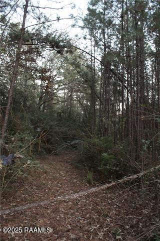 0 East River Road Glenmora, LA 71433 - Photo 5 of 14 GetMedia (4)