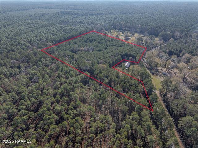 0 East River Road Glenmora, LA 71433 - Photo 8 of 14 GetMedia (7)