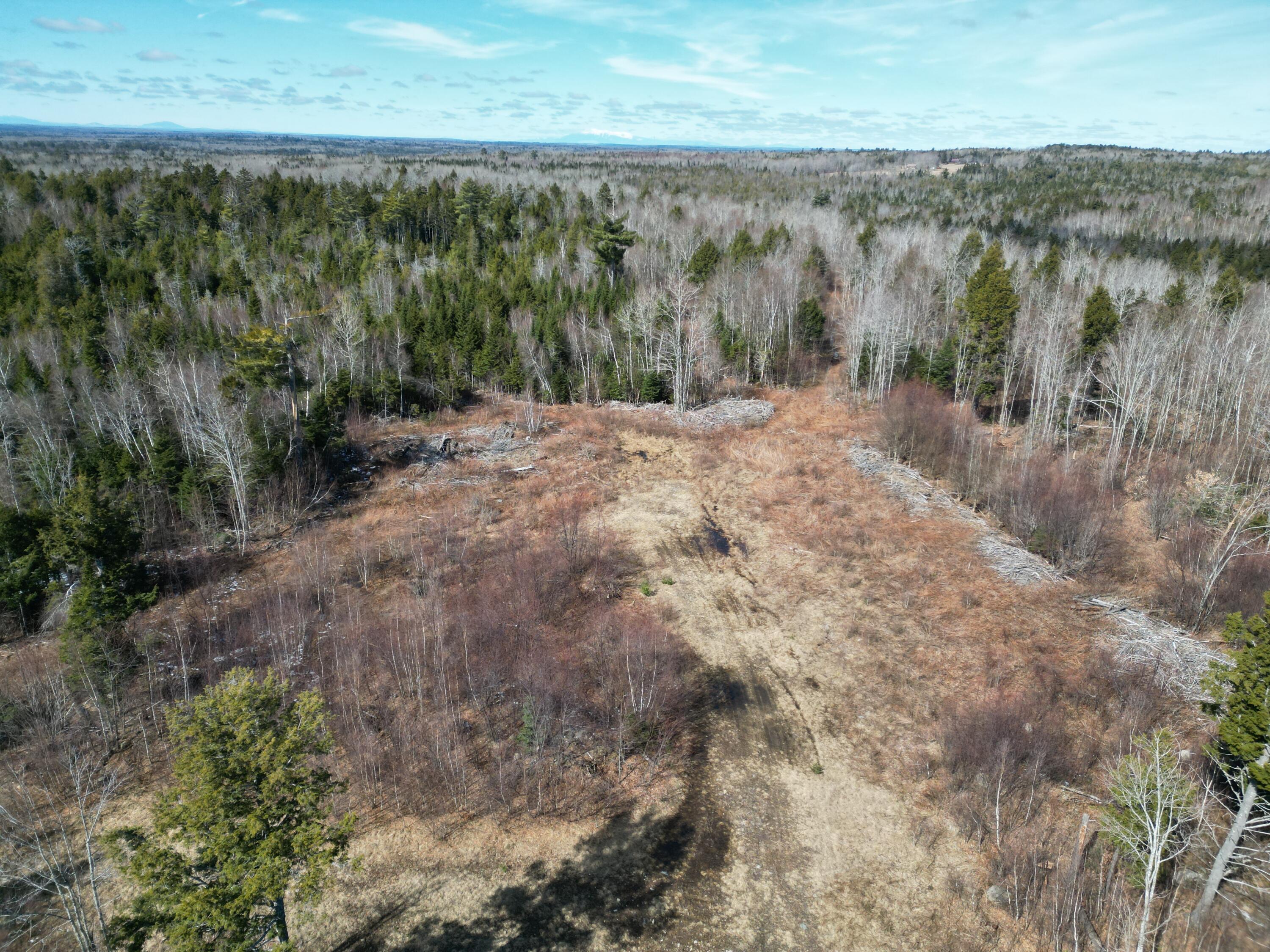 Lot 2-2 Main Road Carroll Plt, ME 04487 - Photo 8 of 25 DJI_0859