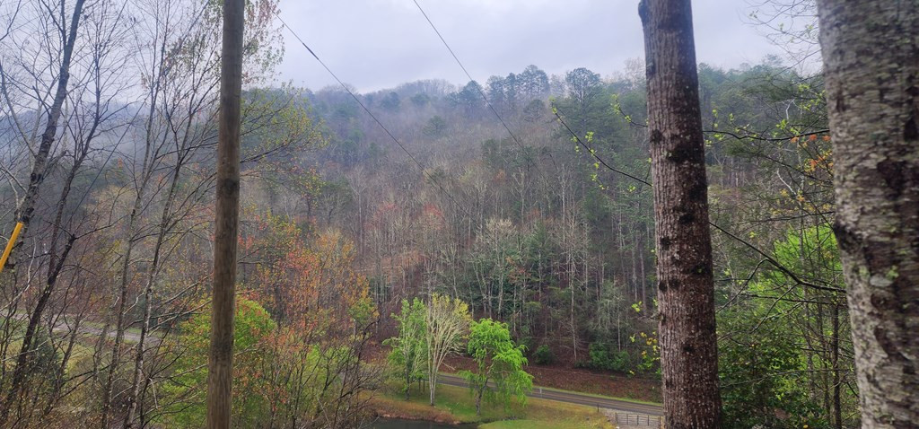 57 Rustys Ridge Bryson City, NC 28713 - Photo 53 of 74