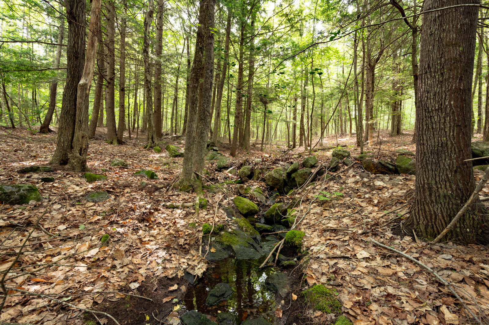 237-001 Hopper Road Acton, ME 04001 - Photo 16 of 19 DSC_2388