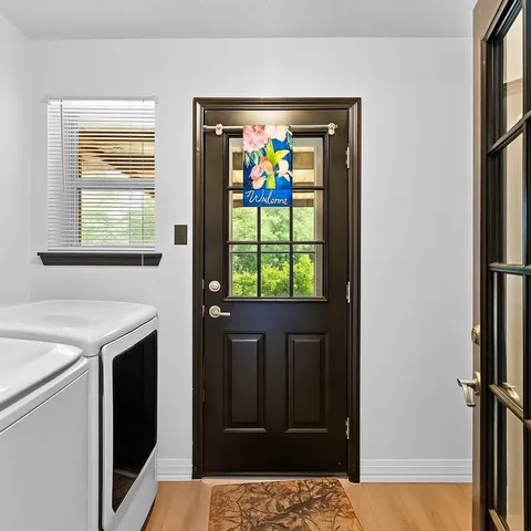 a view of a lush green forest