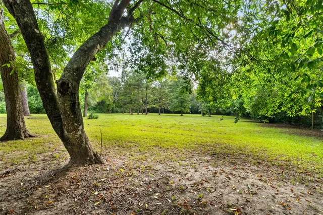 a view of backyard with green space