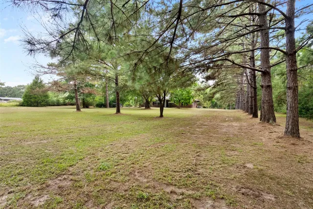 a view of a trees with yard