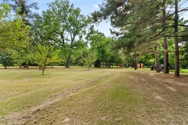 a view of a yard with a tree