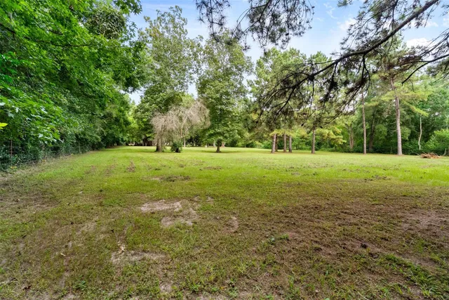 a view of a field with trees in the background