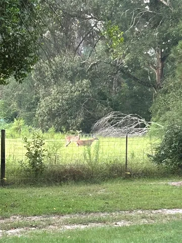 a living room with furniture a fireplace and a chandelier