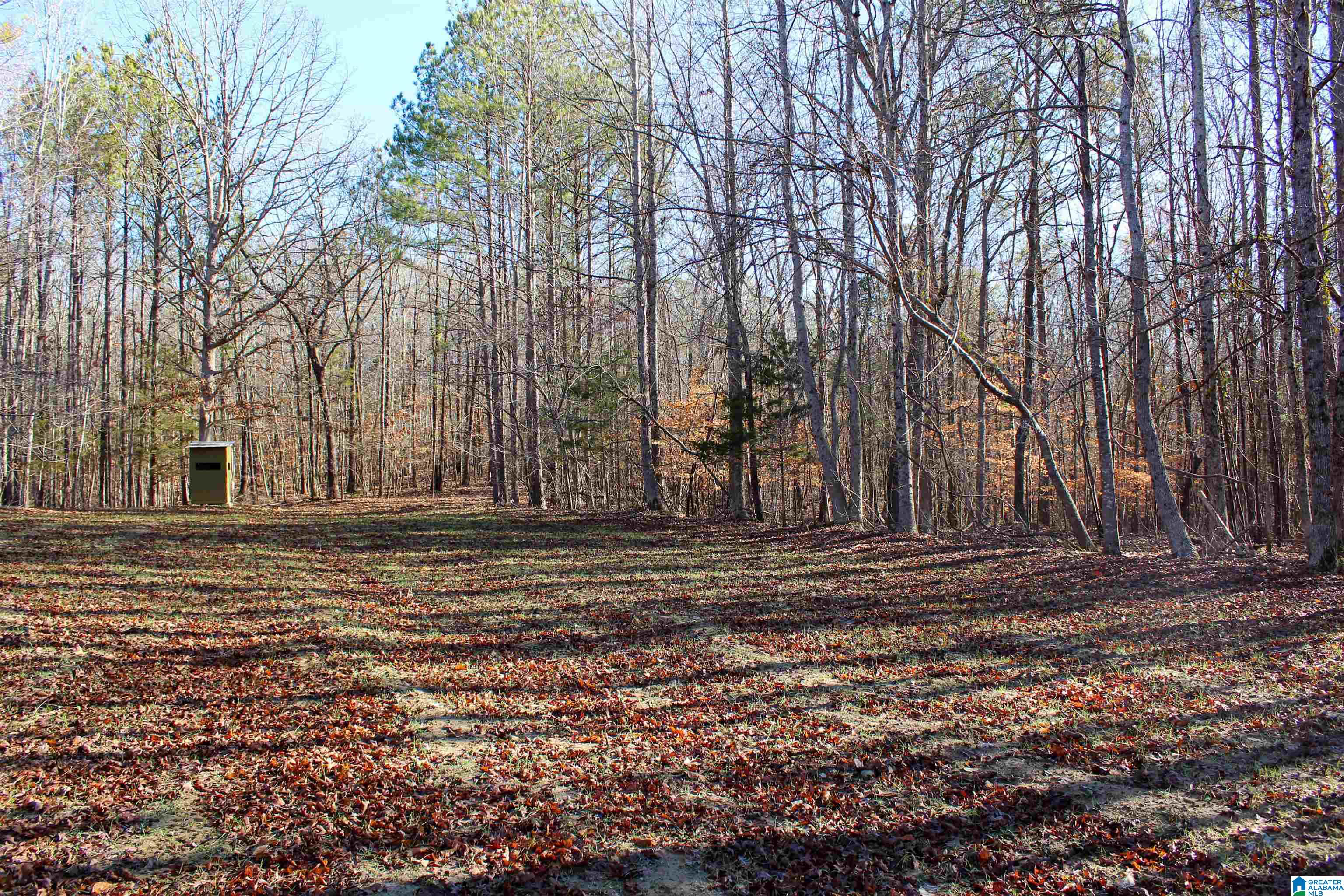 29 Highway Hamilton Al, Unit 1 Hamilton, AL 35570 - Photo 36 of 55