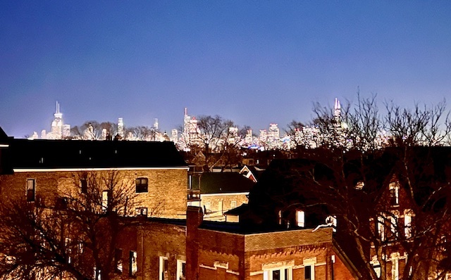 2202 North Leavitt Street, Unit 2 Chicago, IL 60647 - Photo 6 of 35