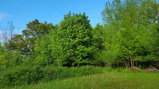 $249,000 | 26-27 Main Street, Calais, ME 04619