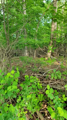 $249,000 | 26-27 Main Street, Calais, ME 04619