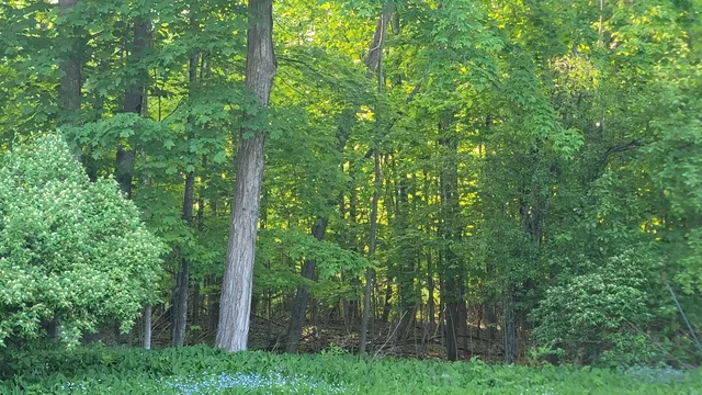 $249,000 | 26-27 Main Street, Calais, ME 04619