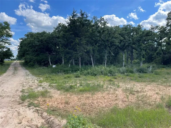 a view of a garden from a window