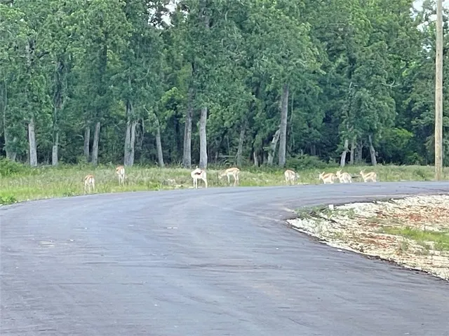 $129,900 | Lot 21 Pr 4173 Marquez Tx 77865, Marquez, TX 77865