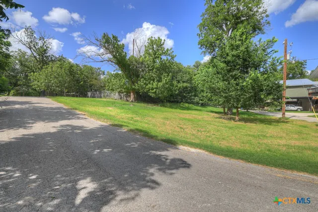a view of a park with large trees