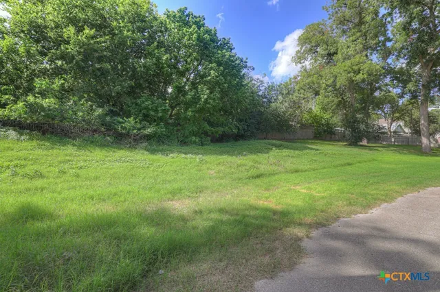 a view of a field with a trees in the background