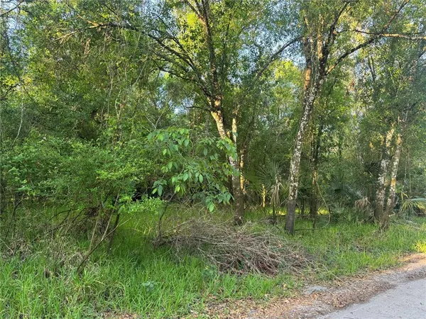 $29,000 | Northeast River Mill Drive, Arcadia, FL 34266