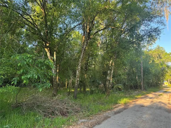 $29,000 | Northeast River Mill Drive, Arcadia, FL 34266