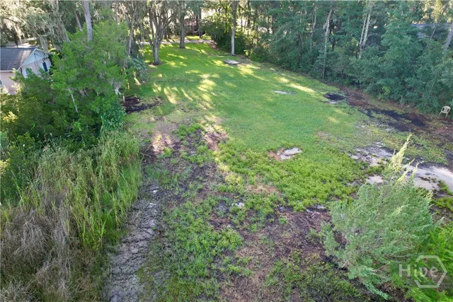 $115,000 | Lot 2 Oak Island Drive, Midway, GA 31320