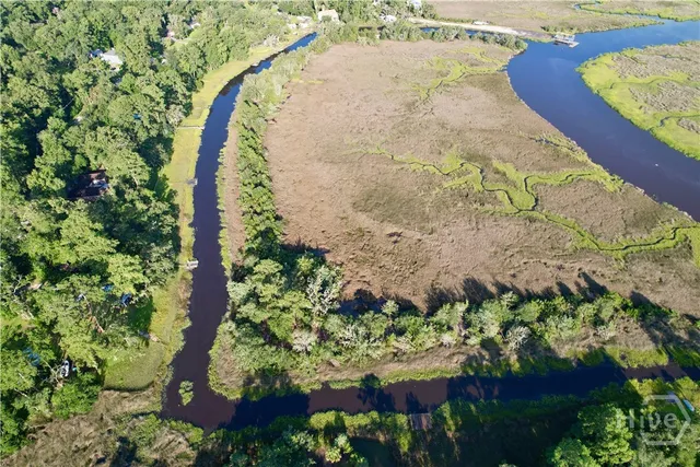 $115,000 | Lot 2 Oak Island Drive, Midway, GA 31320