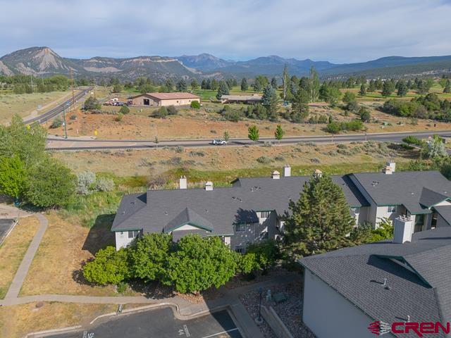 1100 Geoglein Gulch Road, Unit 109 Durango, CO 81301 - Photo 3 of 29