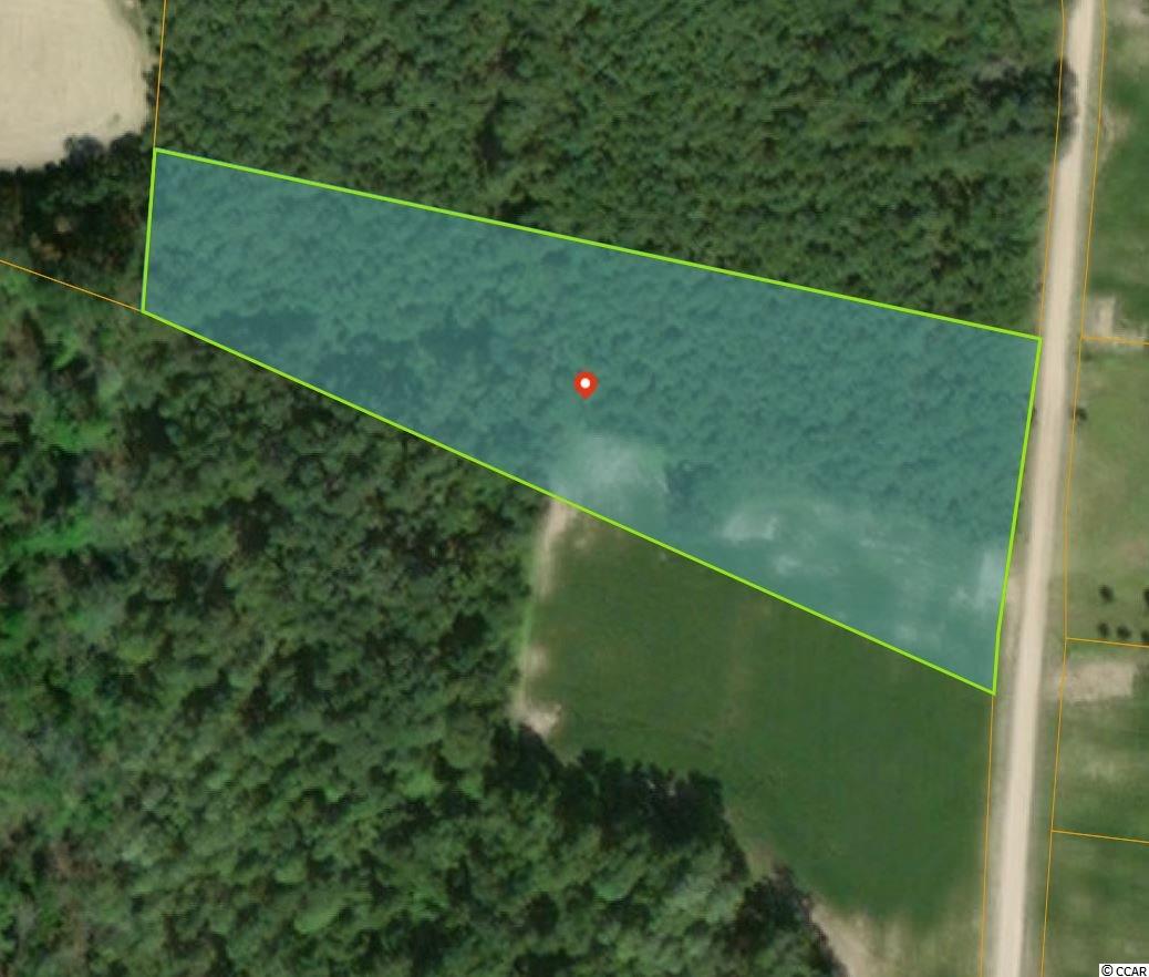 Tbd Mamie Road Galivants Ferry, SC 29544 - Photo 1 of 4 Gallery Image 1
