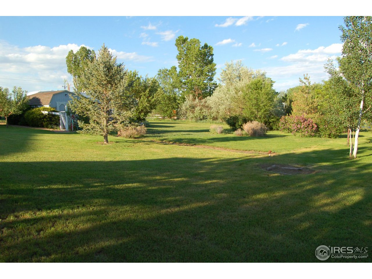 8400 North County Line Road Longmont, CO 80503 - Photo 4 of 19 ...and lots of trees