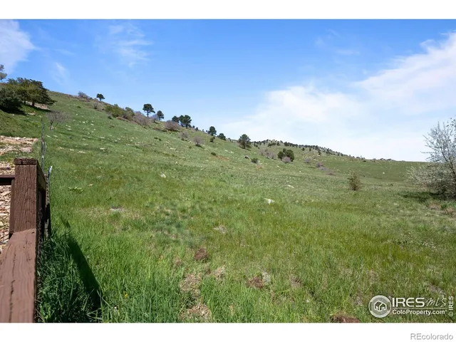 a view of a big yard
