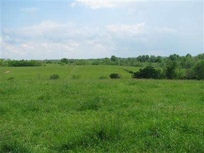 300 Levy Road Paris, KY 40361 - Photo 1 of 2 Photo 1