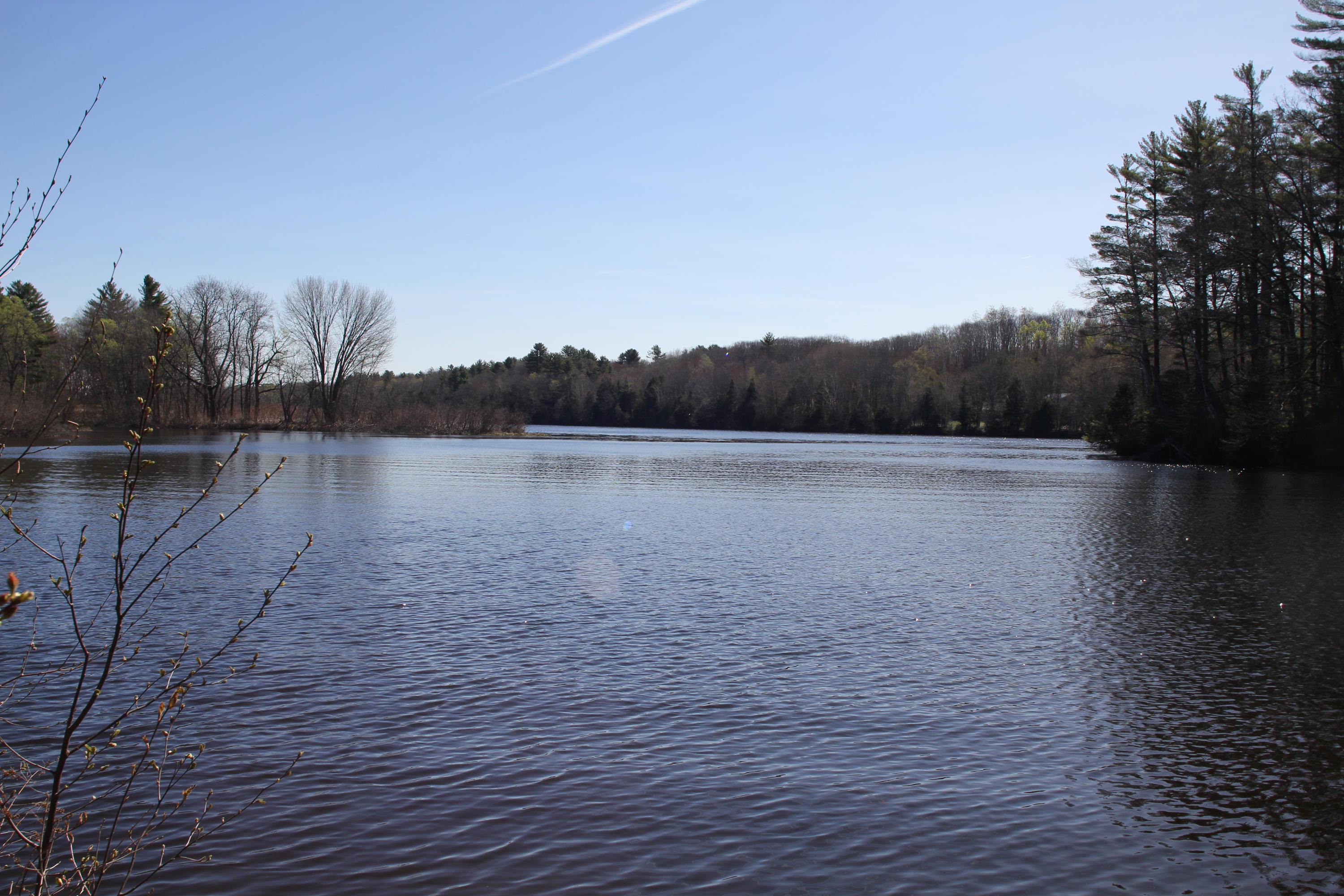 615 River Road Norridgewock, ME 04957 - Photo 5 of 31 IMG_6020