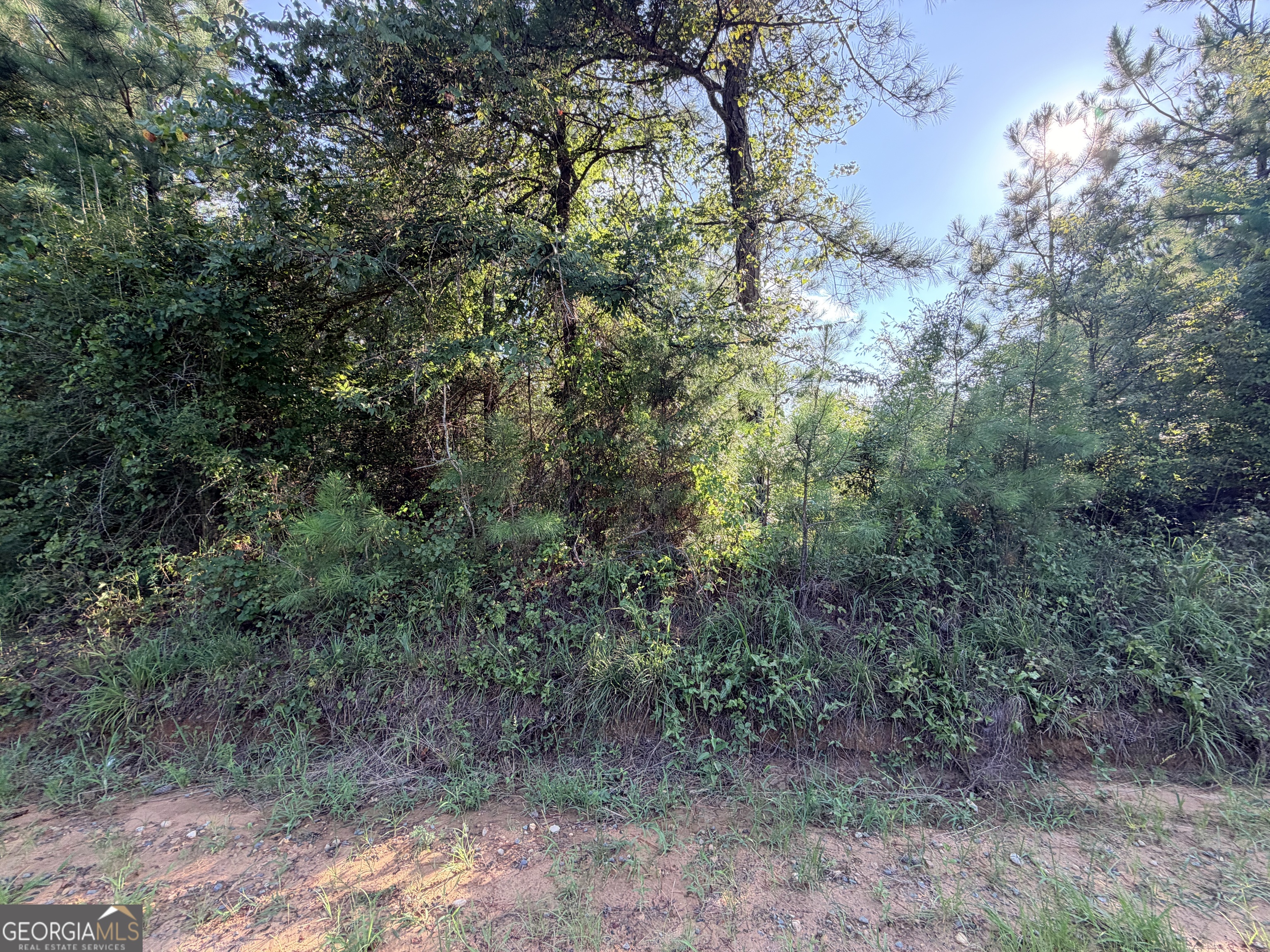 0 Hollis Road Roberta, GA 31078 - Photo 1 of 1 Gallery Image 1