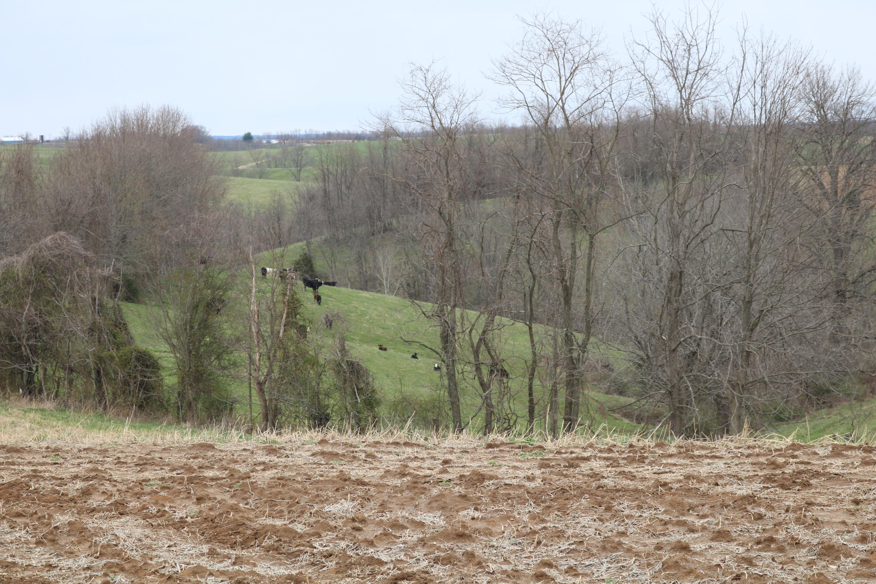 5807 Moorefield Road Carlisle, KY 40311 - Photo 46 of 60 IMG_3029
