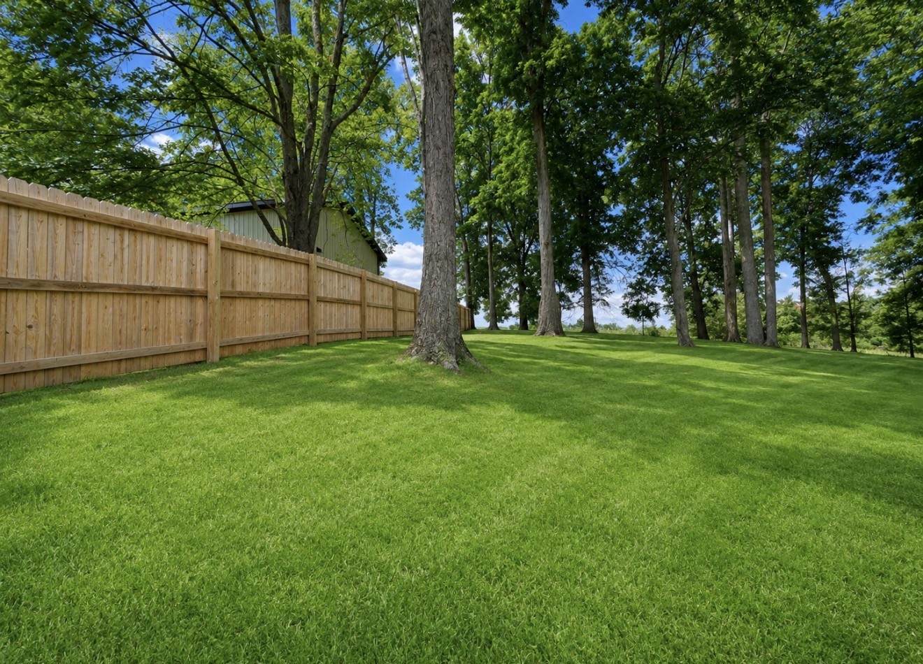 153 Henry Harris Road Westmoreland, TN 37186 - Photo 15 of 18 a view of a backyard with green space