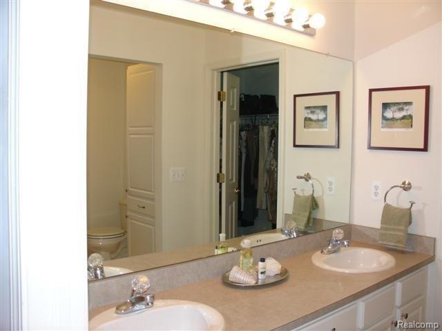 460 Cherry Grove Road Canton, MI 48188 - Photo 11 of 14 Mstr Bath