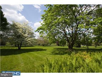 6773 Upper York Road New Hope, PA 18938 - Photo 11 of 12