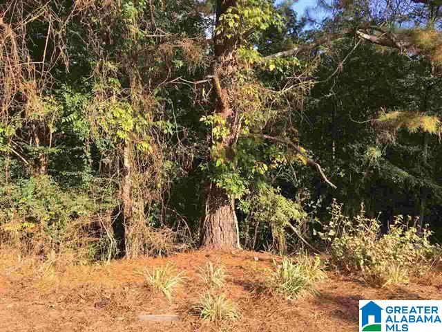 0 Haven Circle, Unit 22 Riverside, AL 35135 - Photo 1 of 1 Gallery Image 1