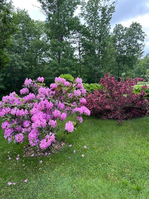276 Middle Road Dresden, ME 04342 - Photo 13 of 68 1000005517