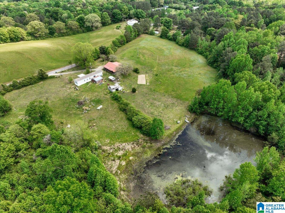 888 County Road 1663 Cullman, AL 35058 - Photo 19 of 20