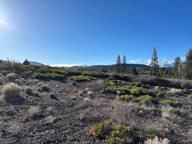 8 Jackson Ranch Road Weed, CA 96094 - Photo 3 of 6 Gallery Image 3