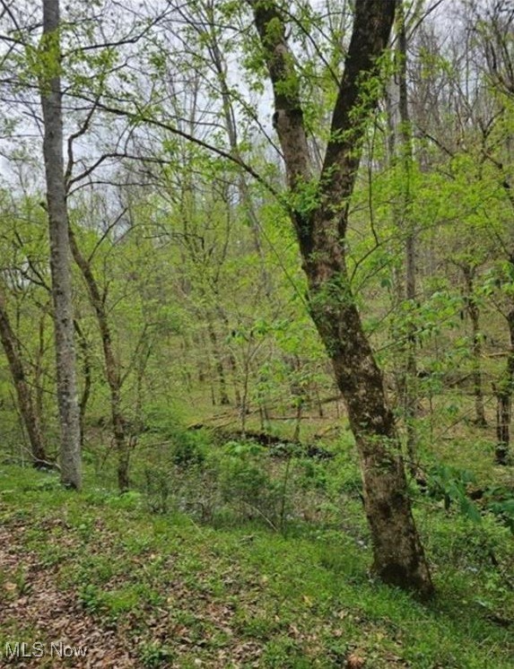 1247 Rocky Branch Road Spencer, WV 25276 - Photo 4 of 9