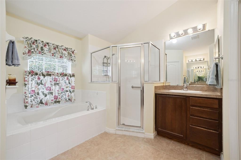 2243 Wolf Ridge Lane Mount Dora, FL 32757 - Photo 32 of 57