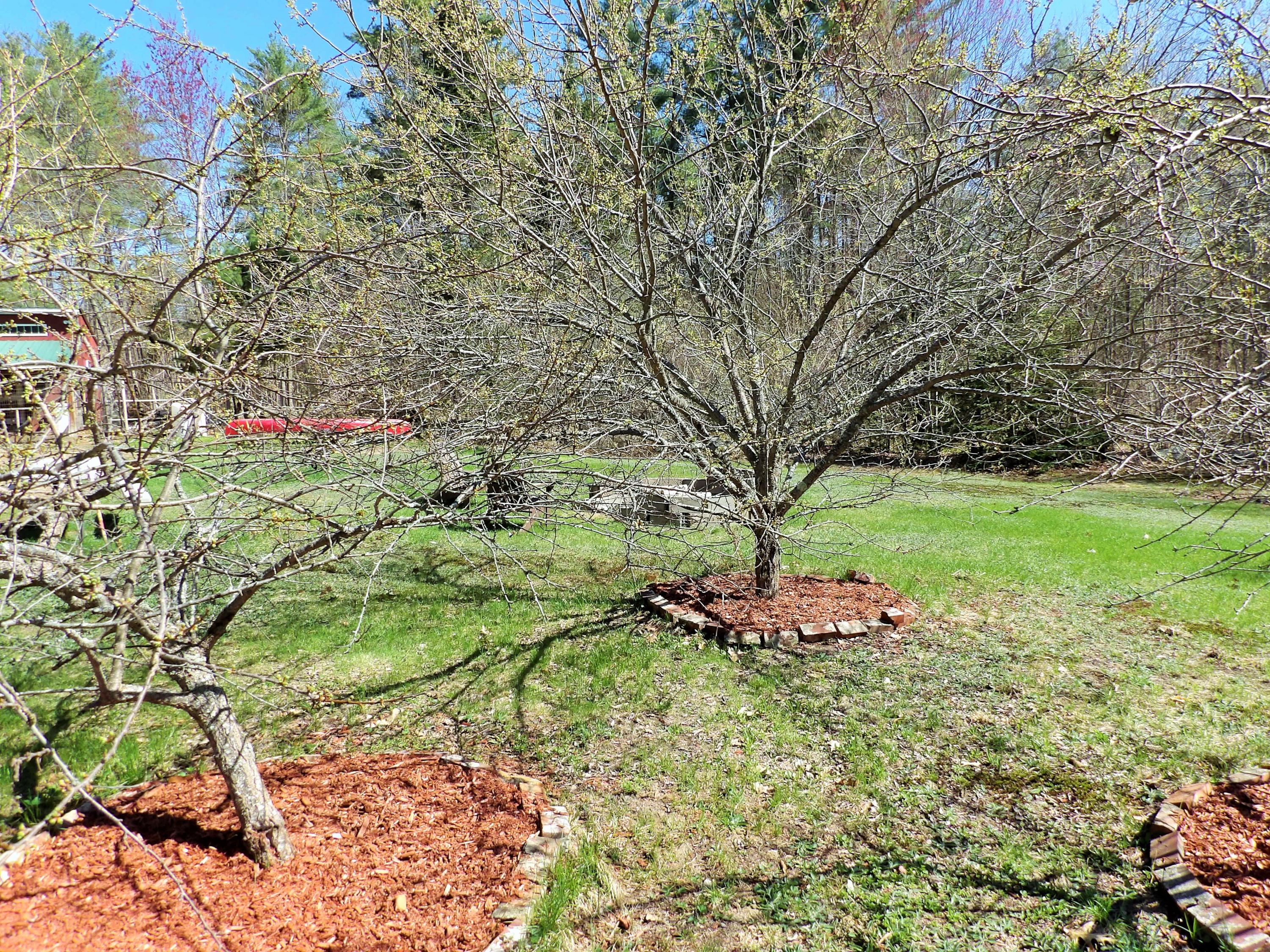 919 Lovell Road Fryeburg, ME 04037 - Photo 35 of 36 Orchard 2