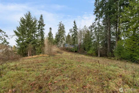 a view of a yard with trees in the background