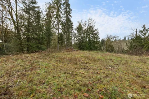 a view of a field with trees in the background