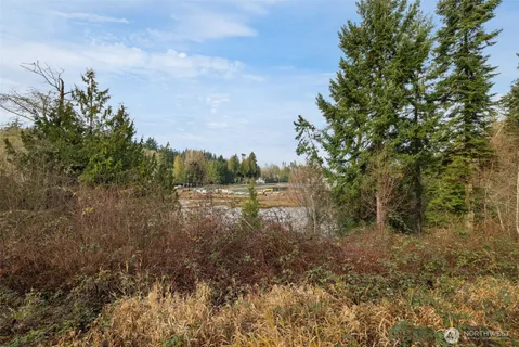 a view of lake with green space