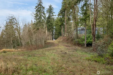 a view of a dry yard with trees