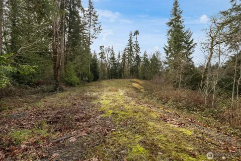 a view of a field with trees in the background