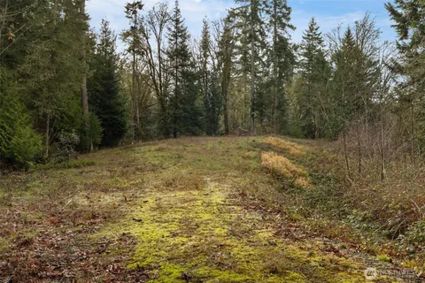 a view of a yard with trees in the background